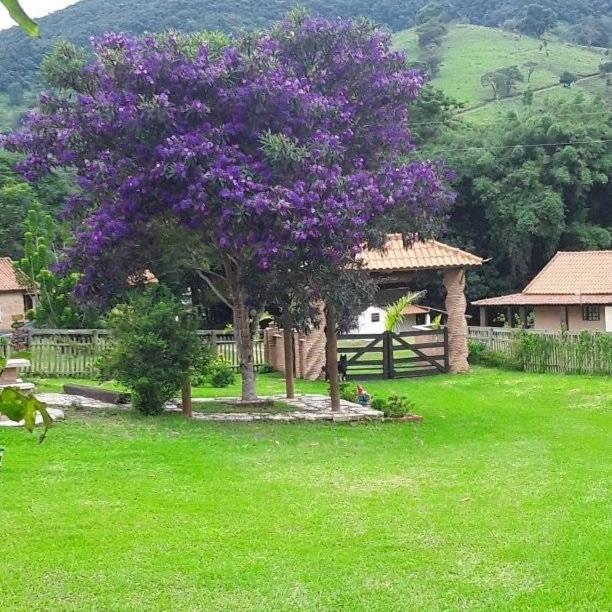 Recanto Das Flores São Tomé das Letras Εξωτερικό φωτογραφία