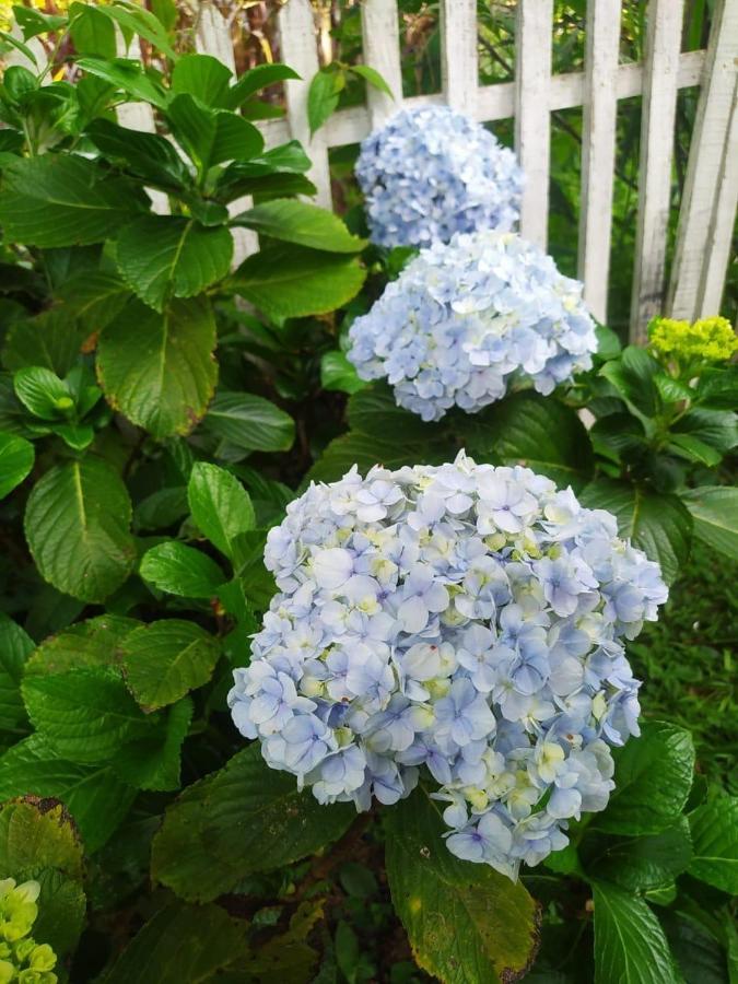 Recanto Das Flores São Tomé das Letras Εξωτερικό φωτογραφία