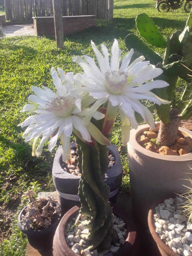 Recanto Das Flores São Tomé das Letras Εξωτερικό φωτογραφία