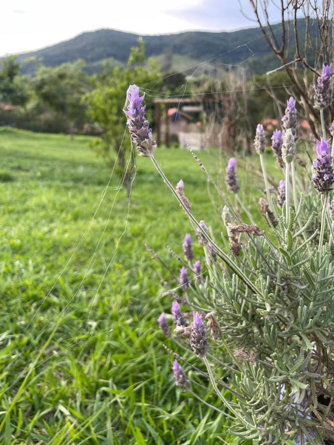 Recanto Das Flores São Tomé das Letras Εξωτερικό φωτογραφία